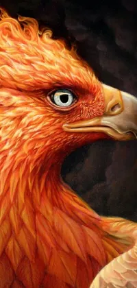 This stunning live phone wallpaper displays an intricate airbrush painting of a breathtaking orange bird on a black backdrop