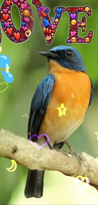 Bird Beak Branch Live Wallpaper