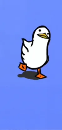 Bird Beak Cartoon Live Wallpaper