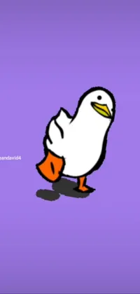 Bird Beak Cartoon Live Wallpaper
