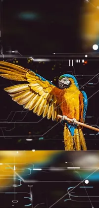 Bird Beak Entertainment Live Wallpaper
