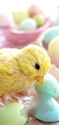 Looking for a cute and delightful live wallpaper for your mobile device? Check out this high-resolution image of a small yellow bird sitting on a pink plate, holding colorful Easter eggs and surrounded by soft, fluffy chicken feathers