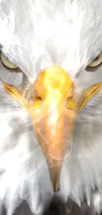 eagle heart  Live Wallpaper