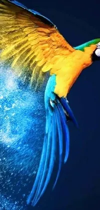 Yellow Feathers Background Composition. Real MACAW Bird Feathers