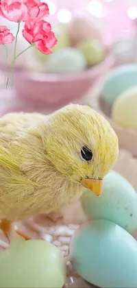 Bring the festive spirit to your phone with this Easter-themed live wallpaper! Featuring a small, adorable yellow bird perched on a pink plate, holding colorful Easter eggs, this pastel-hued wallpaper will light up your screen