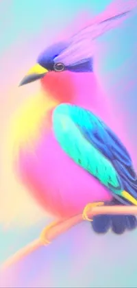 pretty bird 🕊️ Live Wallpaper