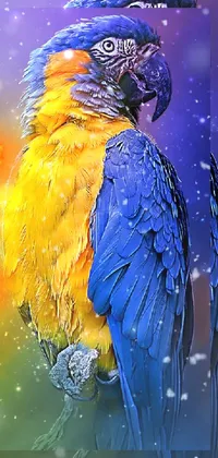 Bird Beak Liquid Live Wallpaper