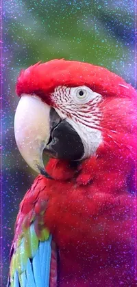 This phone live wallpaper features a vibrant red parrot sitting on a tree branch with a holographic texture