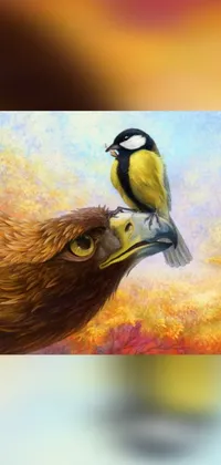 Bird Beak Organism Live Wallpaper