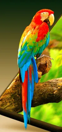 This phone wallpaper features a vividly colorful parrot perched on a tree branch against an intricate background