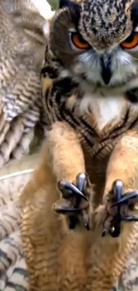 This owl live wallpaper for your phone features a stunning, close-up view of a majestic raptor with its wings spread wide