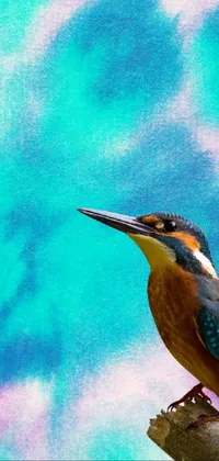 Bird Beak Paint Live Wallpaper