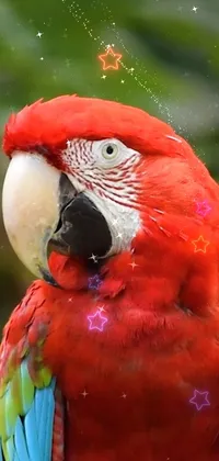 This phone live wallpaper features a striking red parrot perched on a lush tree branch