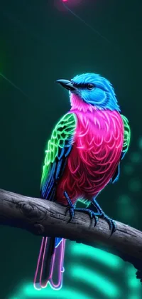 Bird Beak Purple Live Wallpaper