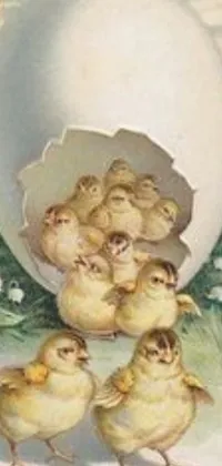 This delightful phone live wallpaper showcases a vintage Easter card featuring three darling chicks hatching from an egg