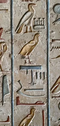 the Egyptian letter  Live Wallpaper