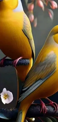 Bird Beak Yellow Live Wallpaper