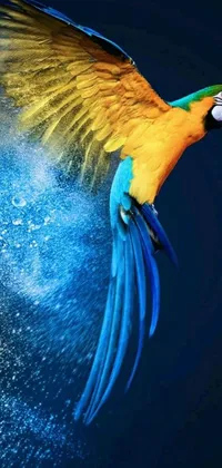 Bird Blue Liquid Live Wallpaper