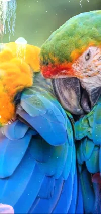 parrot in the deep water  Live Wallpaper
