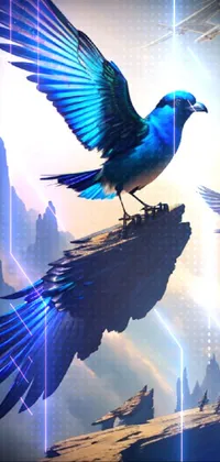 Bird Blue World Live Wallpaper