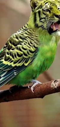This live wallpaper showcases a vibrant and colorful bird perched atop a tree branch with green and yellow plumage