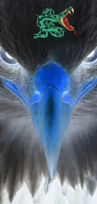 Bird Cassowary Beak Live Wallpaper