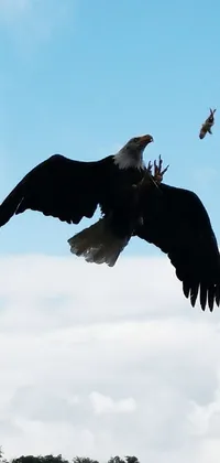 This phone live wallpaper showcases a magnificent bird with the beak of an eagle soaring above the mountains, amidst a clear blue sky