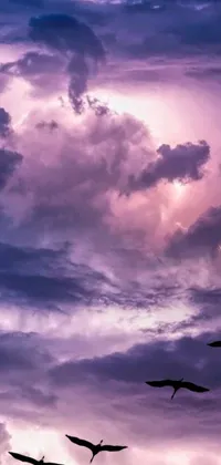 Looking for a stunning live wallpaper for your phone? This trending option on Pexels features a gorgeous group of birds flying through a cloudy sky, with a dreamy purple hue setting the romantic mood