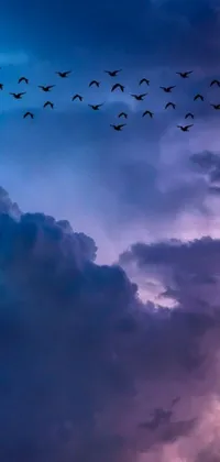 This phone live wallpaper depicts a breathtaking scene of birds fluttering against a cloudy sky, in soft shades of blue and violet