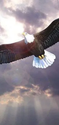 This live wallpaper showcases a beautiful bald eagle in flight against a cloudy sky