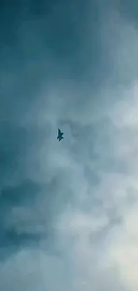 This phone live wallpaper features a breathtaking illustration of a bird soaring through a cloudy blue sky, surrounded by dreamy, hazy clouds