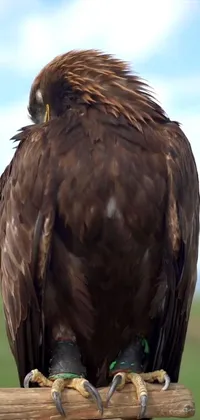 Get mesmerized by the beautiful live wallpaper featuring a brown bird standing on a wooden post in the glorious plains of Rohan