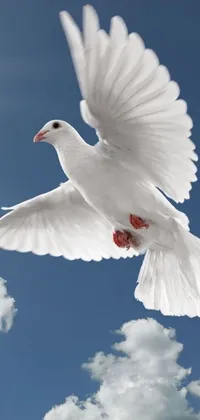 This stunning live phone wallpaper showcases a white bird soaring through a deep, blue sky