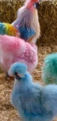 Liven up your phone's home screen with this delightful live wallpaper! The image features a group of colorful chickens standing atop a hay pile