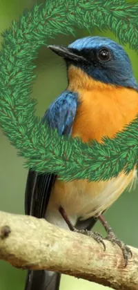 This phone live wallpaper showcases a colorful bird sitting on a tree branch in a stunning, blue-colored background with orange details