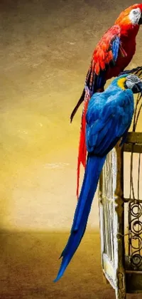 Bird Electric Blue Parrot Live Wallpaper