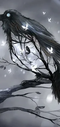 This phone live wallpaper showcases a stunning black bird perched atop a tree branch