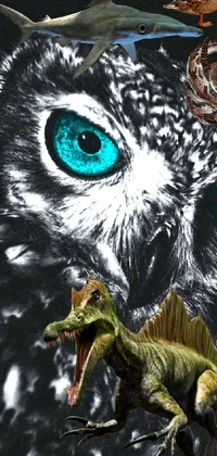 Bird Extinction Owl Live Wallpaper