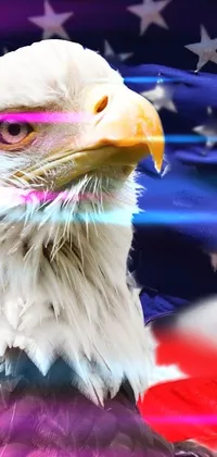 Looking for a patriotic live wallpaper for your phone? Look no further than this stunning image, featuring a bald eagle posed before an American flag