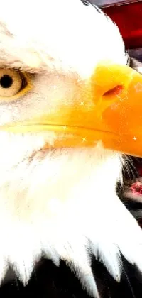This phone live wallpaper depicts a stunning digital art piece of a bald eagle with an American flag in the background