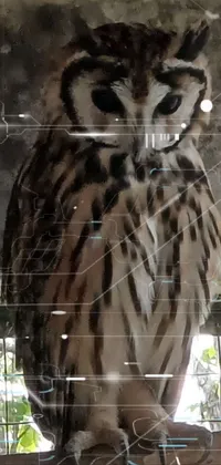 Bird Eye Great Horned Owl Live Wallpaper