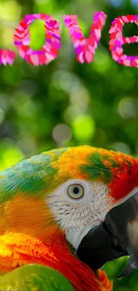 This phone live wallpaper depicts a colorful parrot set against a lush green forest, evoking a sense of romance and peace