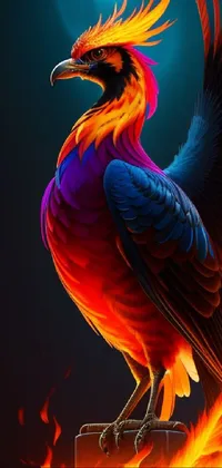 Bird Eye Light Live Wallpaper