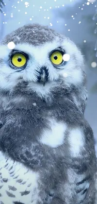 winter uil Live Wallpaper