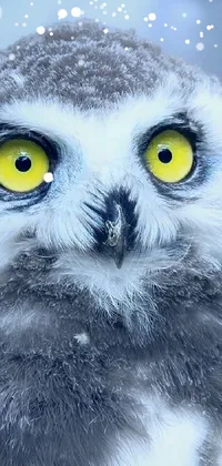 This phone live wallpaper showcases a captivating close-up of an owl with yellow eyes against a snowy forest backdrop
