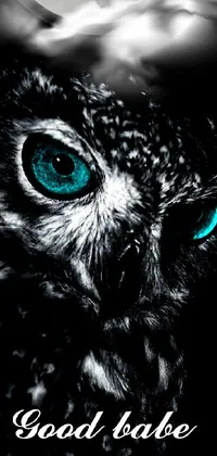 Bird Eyelash Owl Live Wallpaper