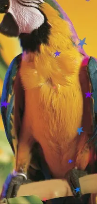 Bird Feather Yellow Live Wallpaper