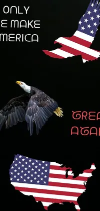 Bird Flag Of The United States Gesture Live Wallpaper