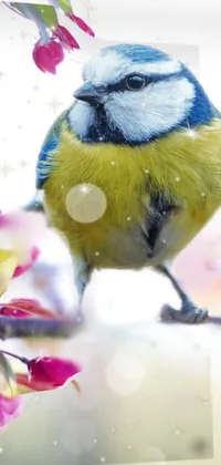 This live phone wallpaper showcases a stunning digital art image of a blue and yellow bird atop a tree branch