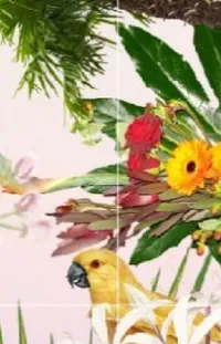 Bird Flower Plant Live Wallpaper